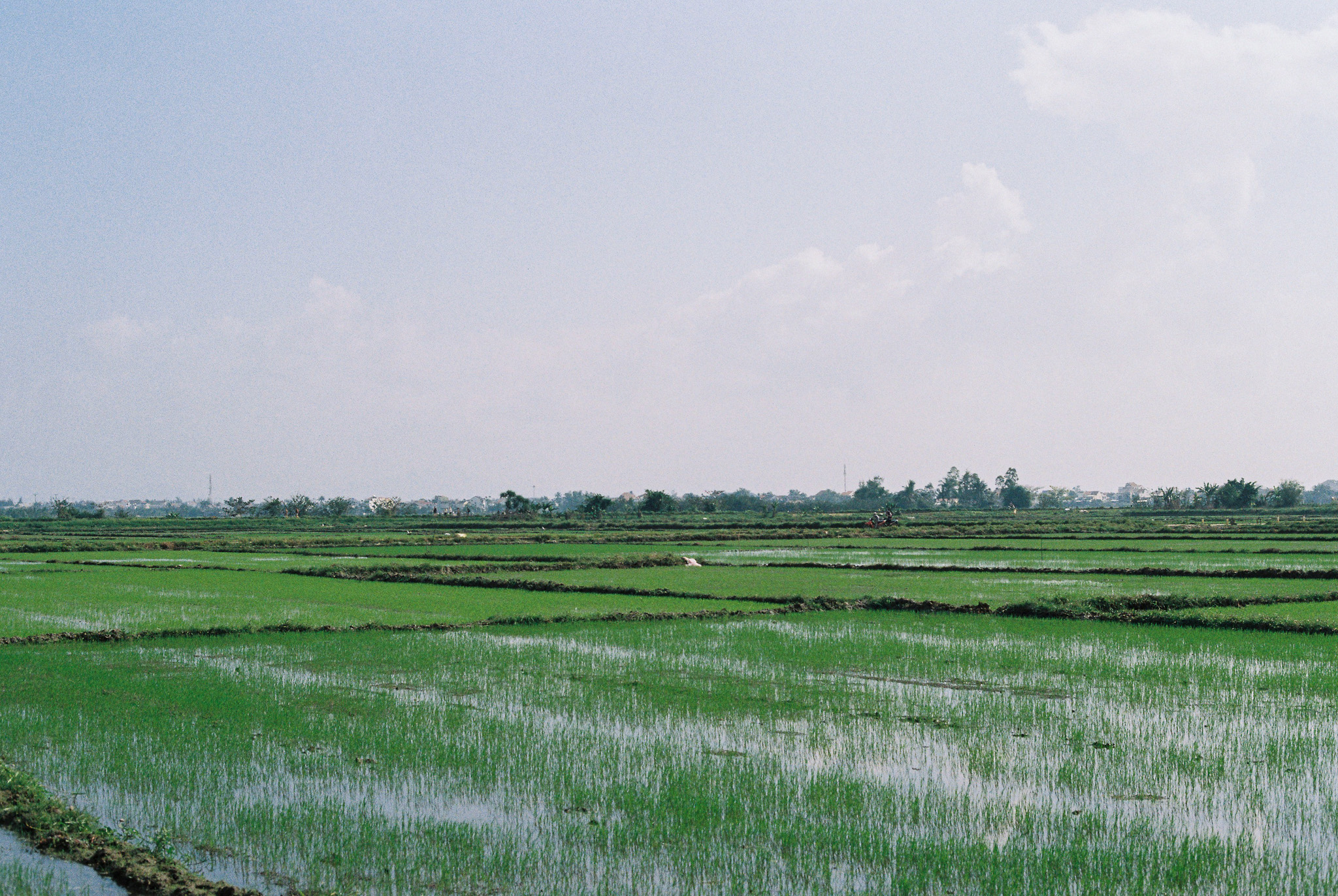 Rice paddies stretching toward a village on the horizon in Vietnam